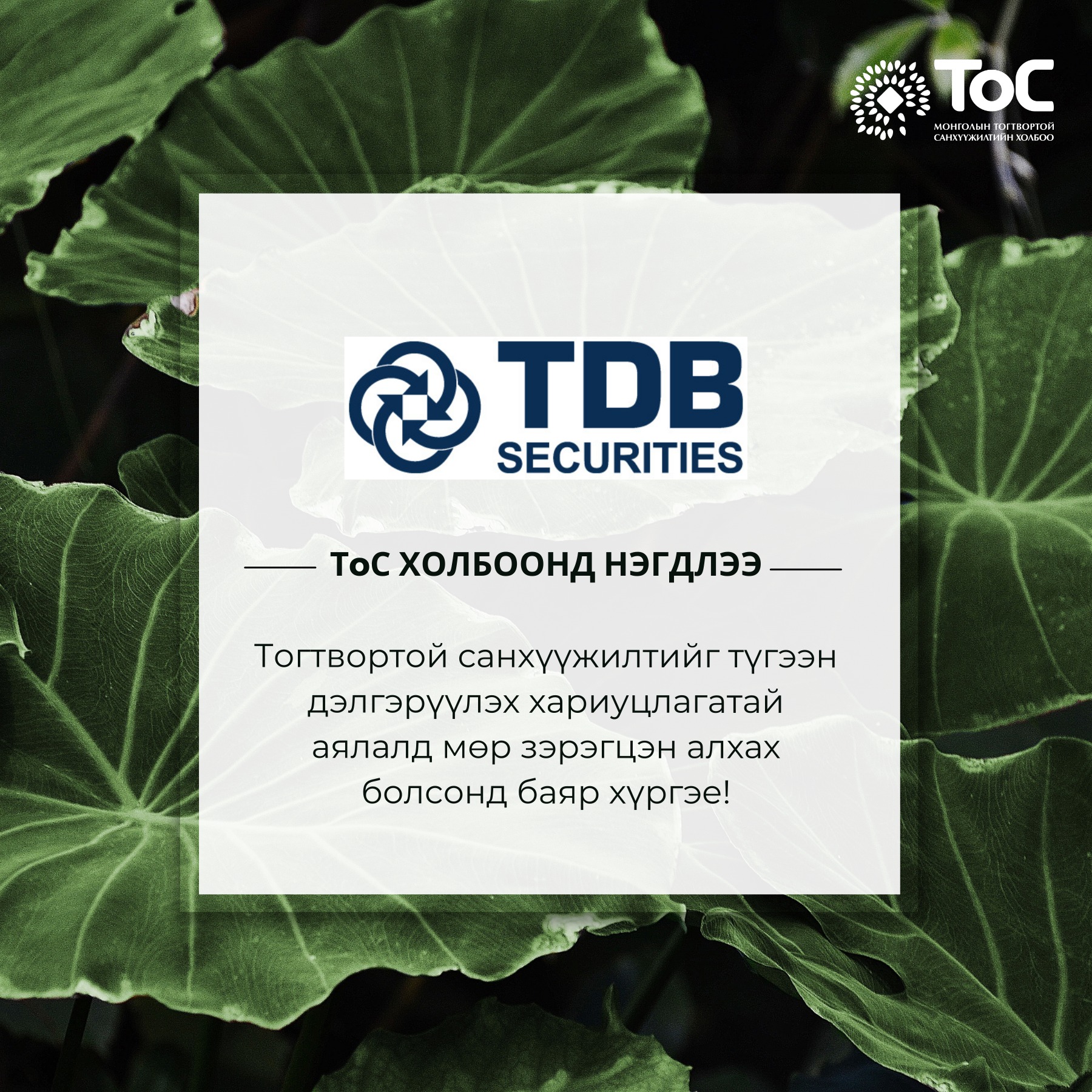 tdbsecurities тос холбоонд нэгдлээ